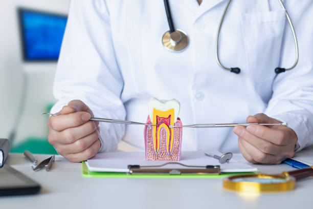 Best Emergency Treatment for Dental Infections or Abscesses in Greendale, IN